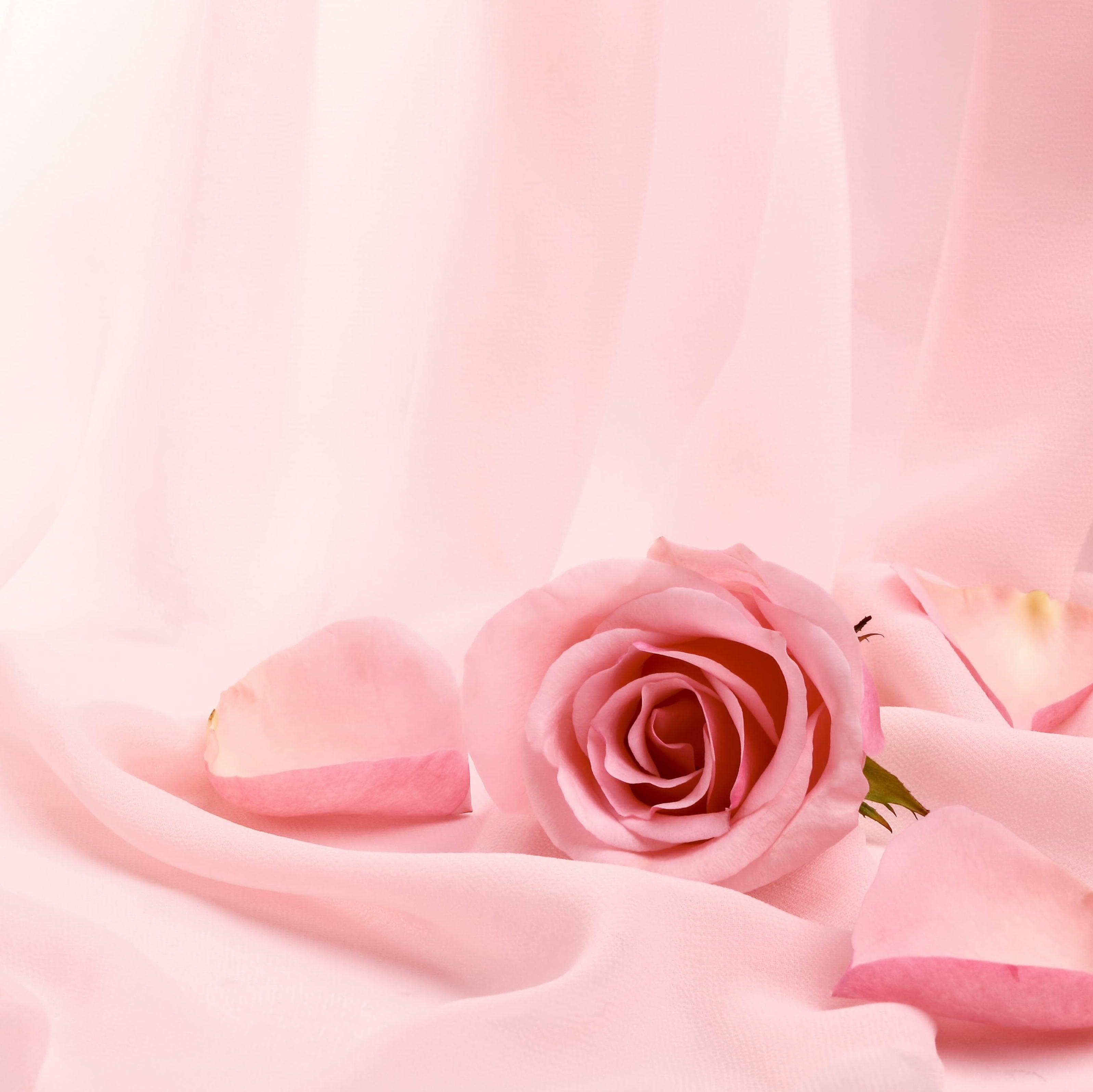 Sticla vopsita bucatarie placari #1045