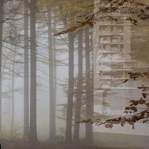 Sticla printata bucatarie placari